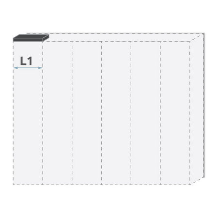 l1-pn.jpg