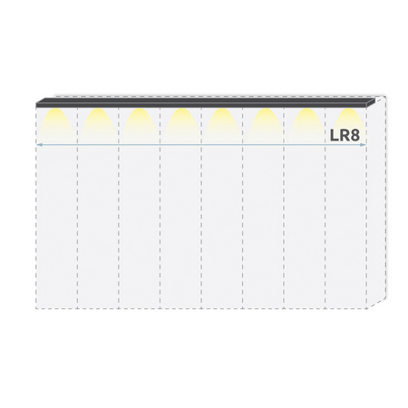 lr8.jpg